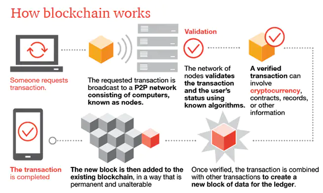 Cryptocurrency Info Picture
